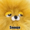 Random Stuffed Animals 🧸 5