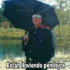 Están lloviendo pendejos
