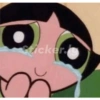 Power puff girls 13