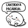 PENTOL GEMOY 11