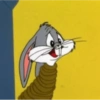Bugs bunny 6
