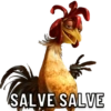 MEMES JOÃO FRANGO 11