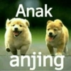 Anomali naek anjing 10
