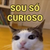 Gatinhos caóticos e fofos 2 11