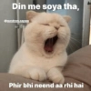 @sundram.saysss 20