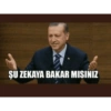Türkçe yazı sticker 28
