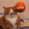 OTRA VEZ LUNES 😭😡 24