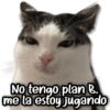 Michi No tengo plan B. me la estoy jugando