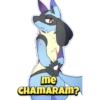 Conversas pokemon 10