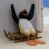 PINGU MEMES 6