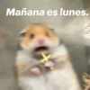 OTRA VEZ LUNES 😭😡 22