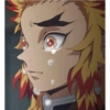 Rengo 27