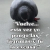 🧿Frases Migajeras🍞🐦 16