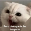 Randoms  10