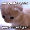 me gustas pero @sanriocute.posting pero no sé ligar