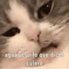 aguas con lo que dices culero