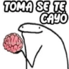 TOMA SE TE CAYO