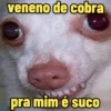 DEBOCHE PURO 2 20
