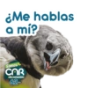 SOMOS CAR DE CORAZÓN 💚 11
