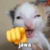 Jawa jawa 10
