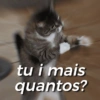 Gatitos apocalípticos 🙀 22