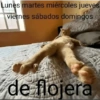 OTRA VEZ LUNES 😭😡 14