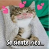 Se siente rico...
