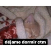 Gatitos 14