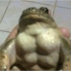 MEMES MAROMBAS 9