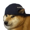 Memes de cachorros 27