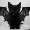 Gatitos de hallowen🎃 5