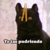 Tetas pudriendo