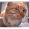 Tiktok memes 😂 7