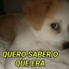 APAGOU A MENSAGEM?  7