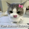 Funny quotes 🤠 16