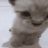 (-.-)Zzz・・・・ 24