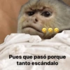 Memes 48 5
