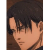 Levi 9