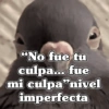 🧿Frases Migajeras🍞🐦 15