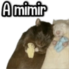 A mimir