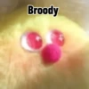 Random Stuffed Animals 🧸 15