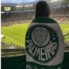 Palmeiras 🍃✨ 5