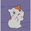 Owo 19