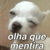 olha que mentira