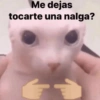 Me dejas tocarte una nalga?