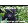 Insta:GORİLCOMİCS 17