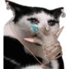 Gata de make memes 15