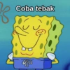 Coba tebak