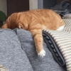 Cansada | cansado  10