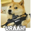 Dogesh & Cheemas 22